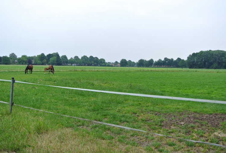 Afbeelding-3-Vroonacker-IV-Hilvarenbeek-Gloudemans