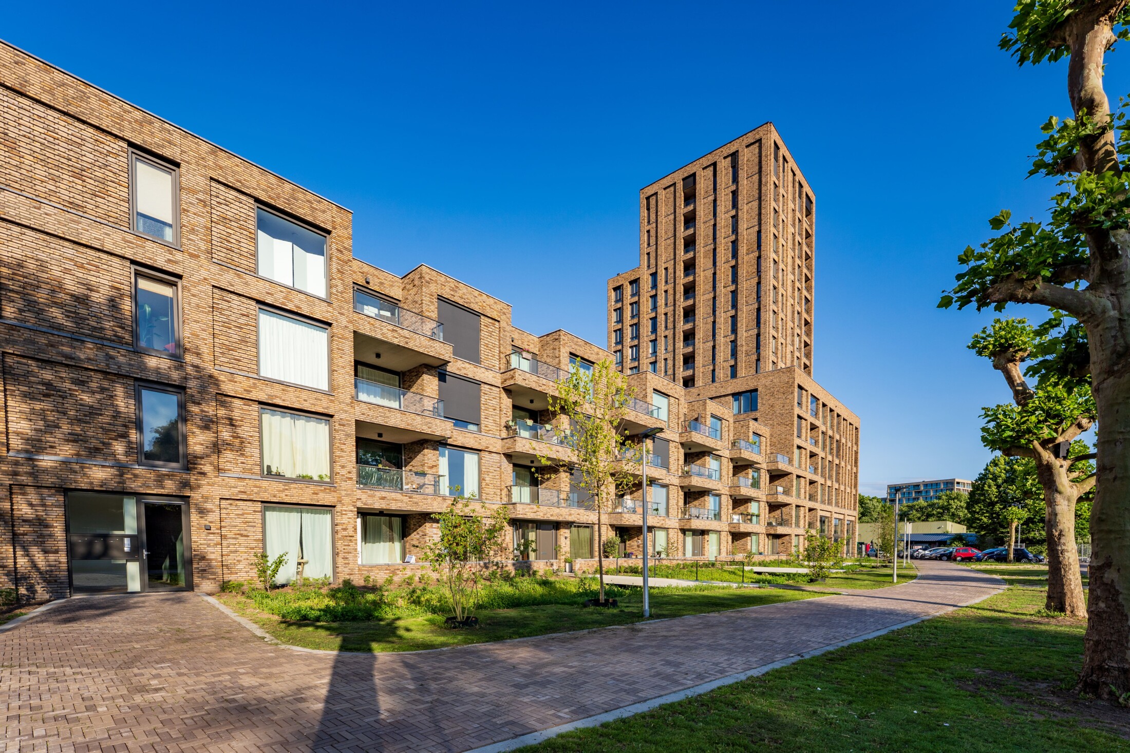 GLOUDEMANS artikel De paradoxen van het tenderen - editie 4 NBU Eureka Central