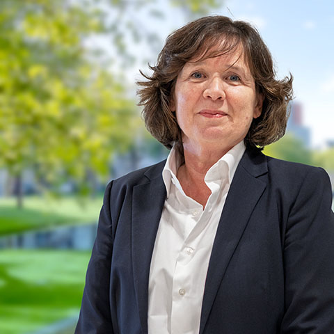 Team HLVM - Berthe Pleging - 2025