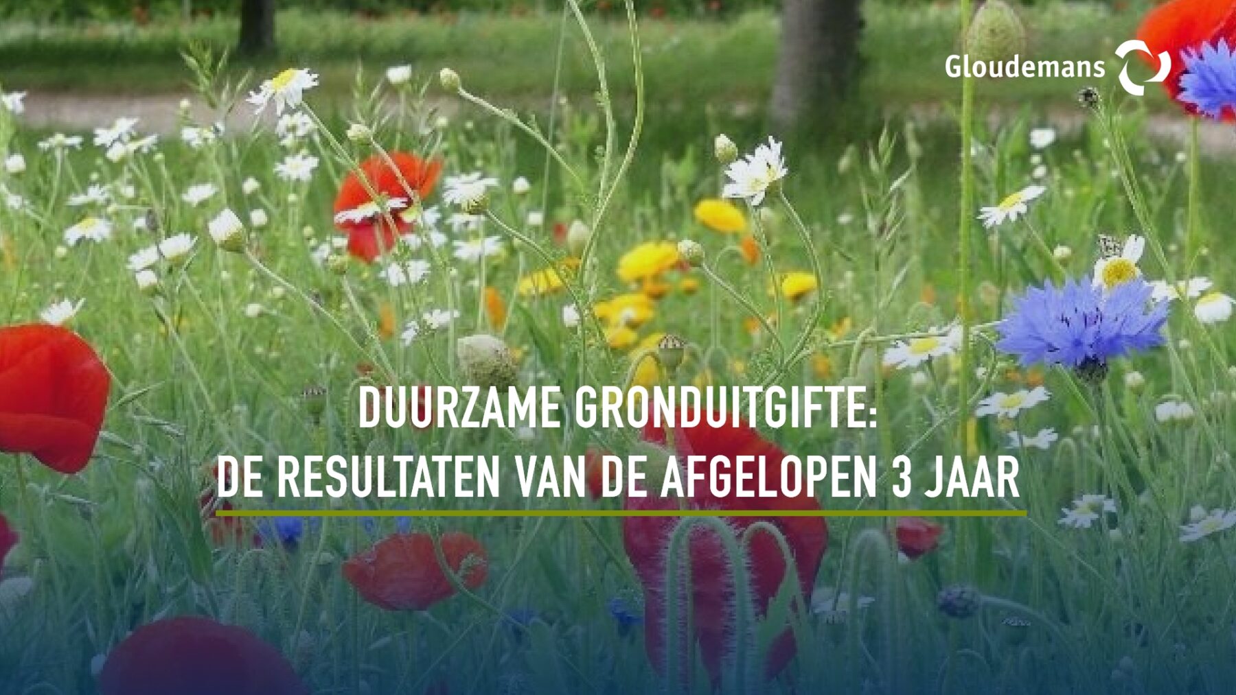 GLOUDEMANS - afbeelding blog Duurzame gronduitgifte de resultaten van de afgelopen drie jaar