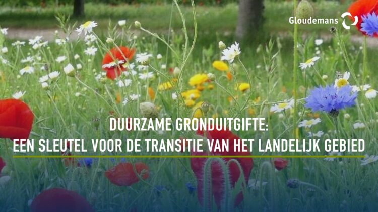 GLOUDEMANS - afbeelding blog Duurzame gronduitgifte een sleutel voor de transitie van het landelijk gebied