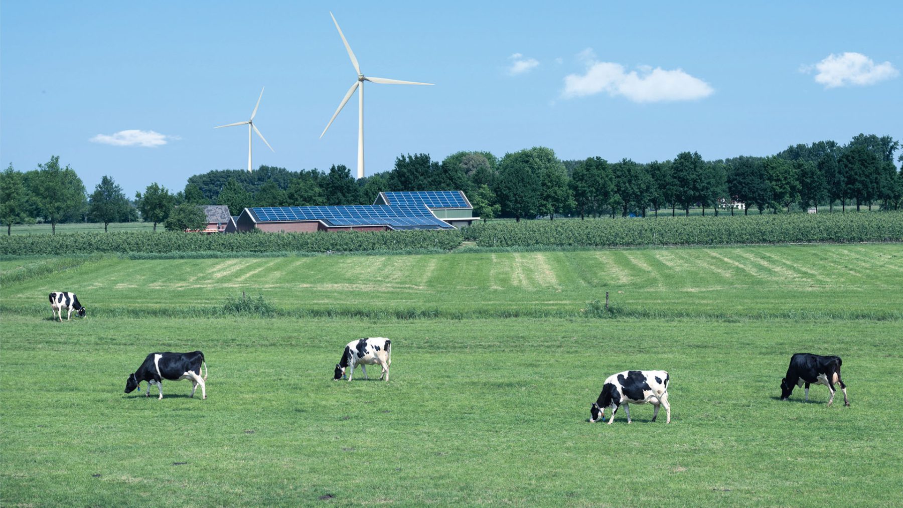 Gloudemans Expertise Rentmeesterij