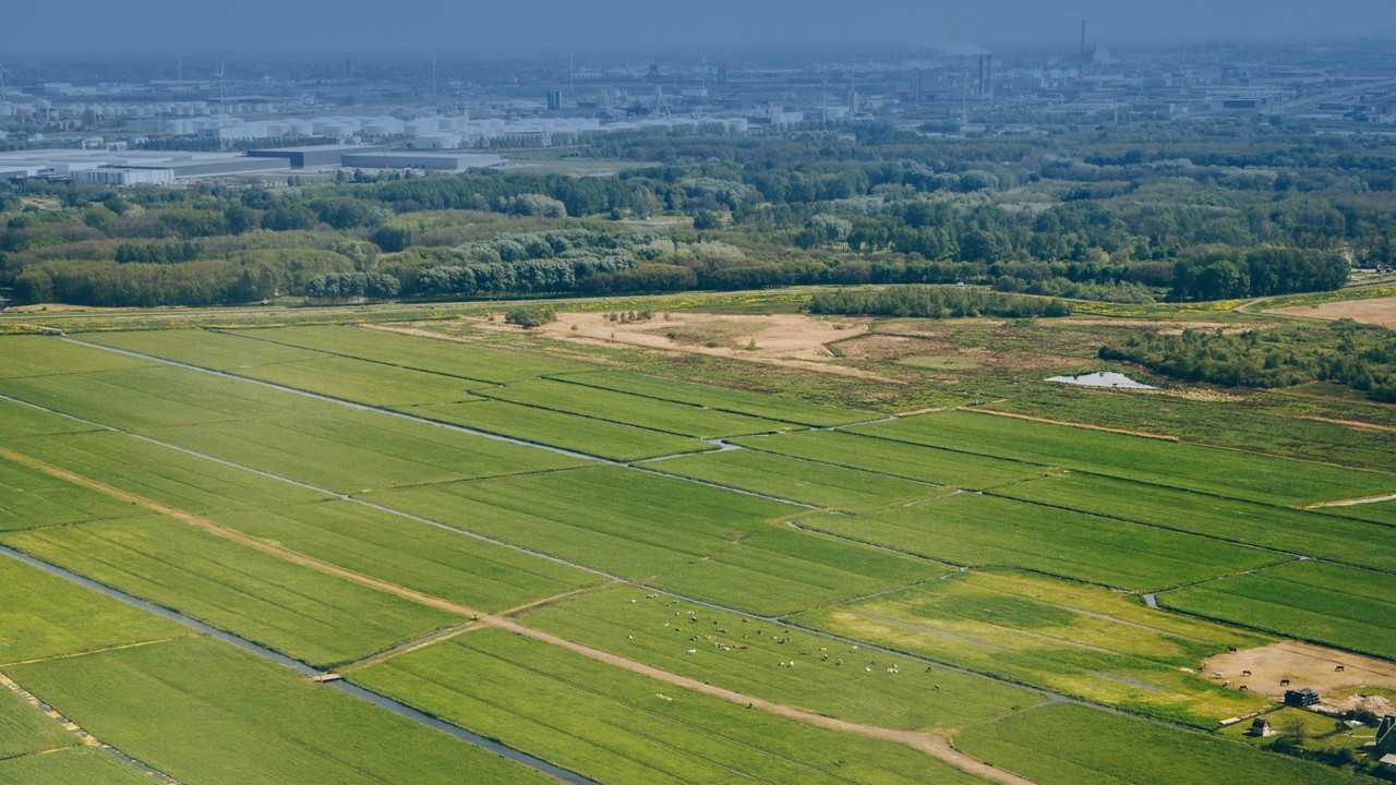 Gloudemans - Het gemeenschappelijk landbouwbeleid en het provinciale pachtsysteem