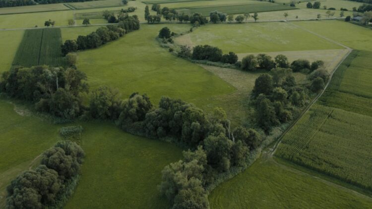 Gloudemans - Pachtbeleid gemeente Valkenswaard: duurzame pacht als instrument voor landbouw- en watertransitie