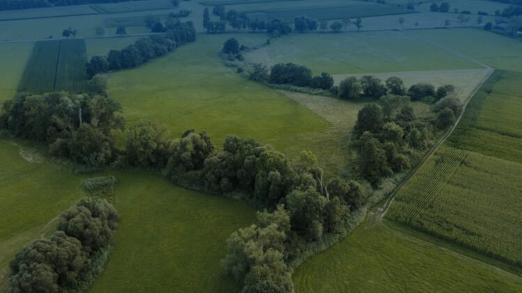 Gloudemans - Pachtbeleid gemeente Valkenswaard: duurzame pacht als instrument voor landbouw- en watertransitie