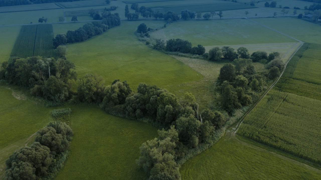 Gloudemans - Pachtbeleid gemeente Valkenswaard: duurzame pacht als instrument voor landbouw- en watertransitie
