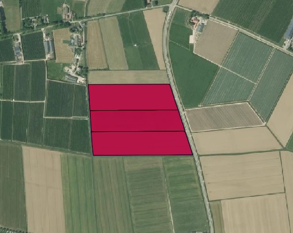Luchtfoto Noord-Zuid - Appeltern 2