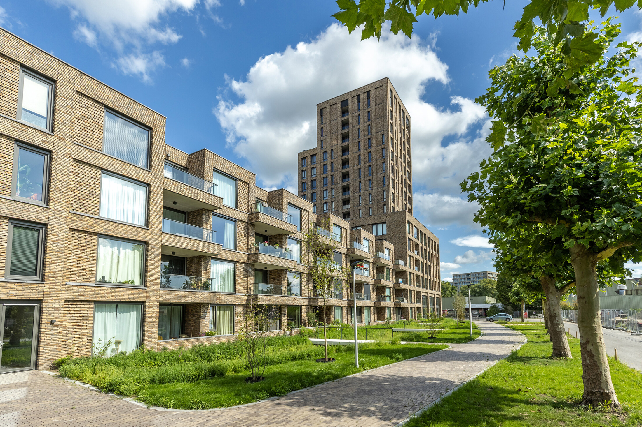 GLOUDEMANS artikel De paradoxen van het tenderen - editie 4 NBU Eureka Central