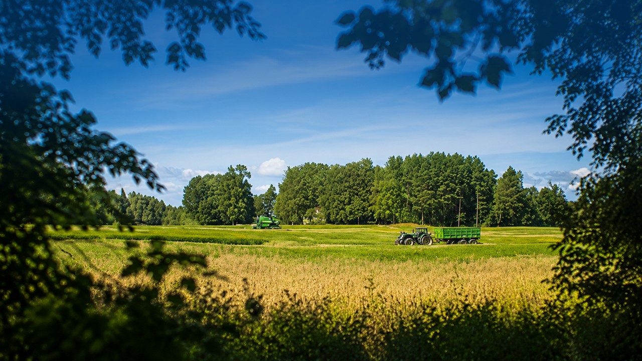 Gloudemans - Ondersteuning provinciale grondstrategie Noord-Brabant
